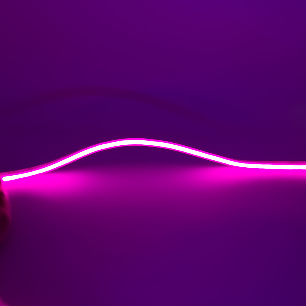 NEON FLEX  singla color - Image 4