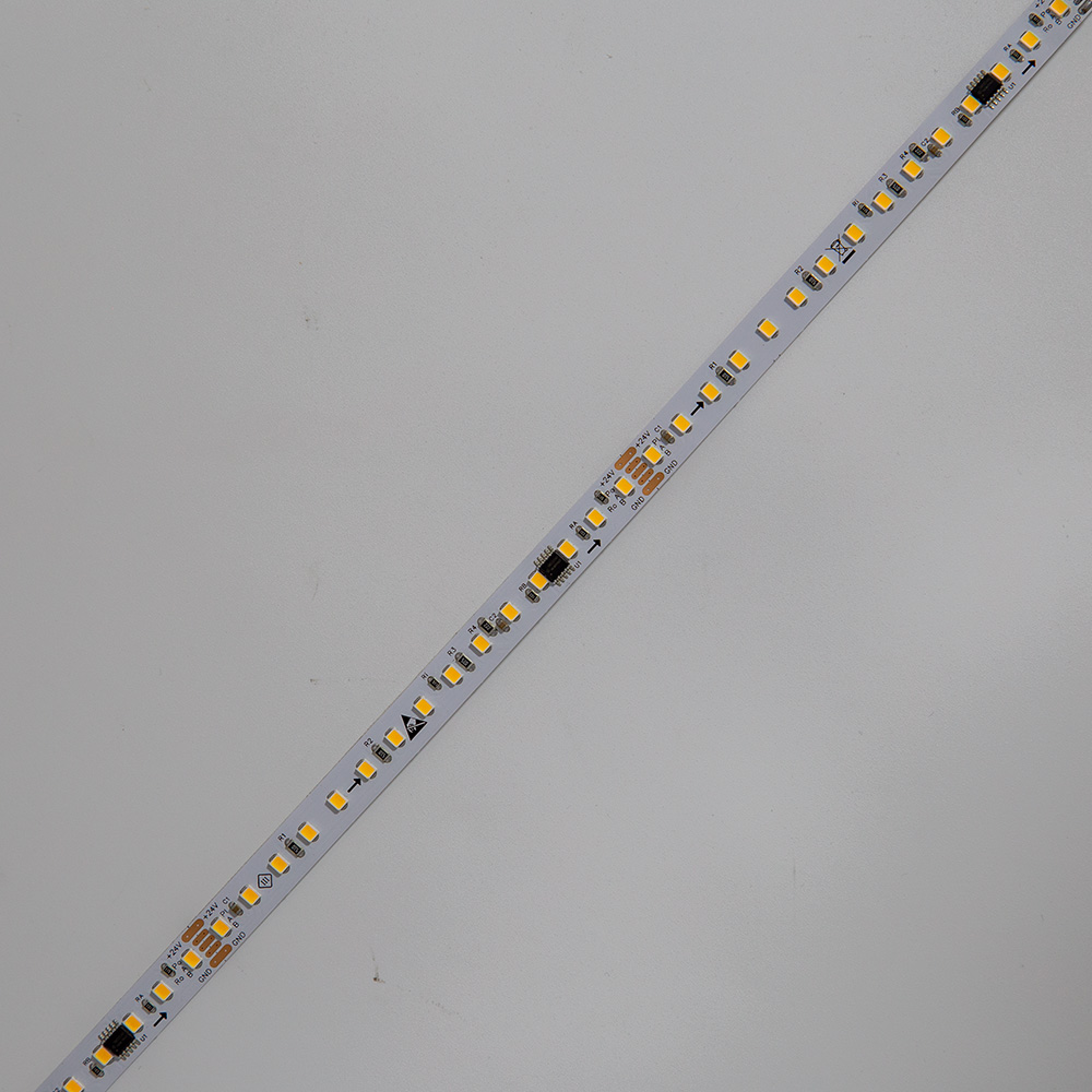 DMX512-24v-2835-120LED-10MM SINGLE COLOR